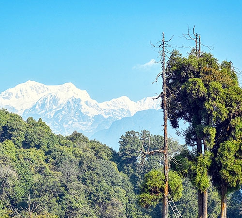 Extended Gangtok Tour